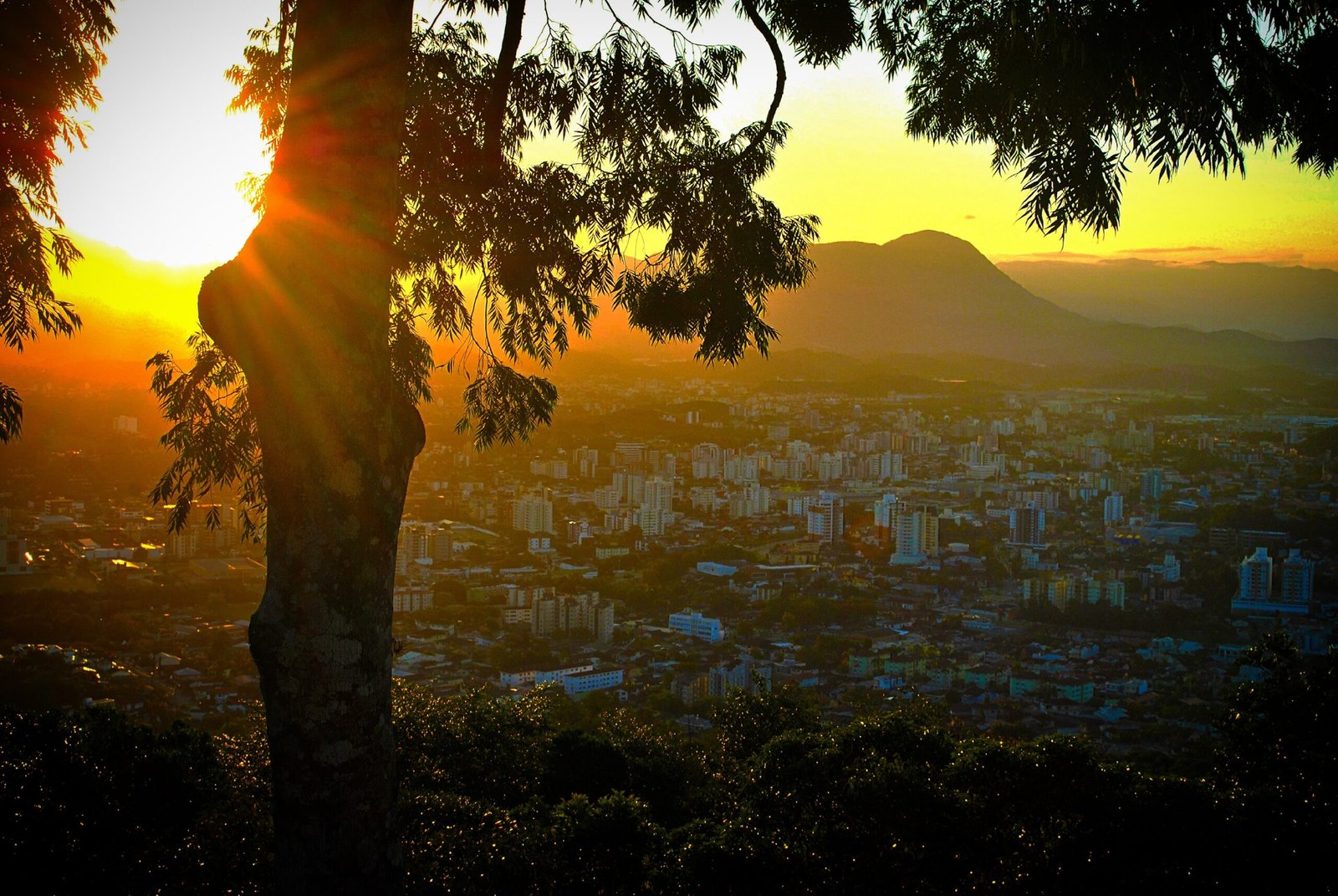 Joiville no por do Sol a maior cidade de Santa Catarina